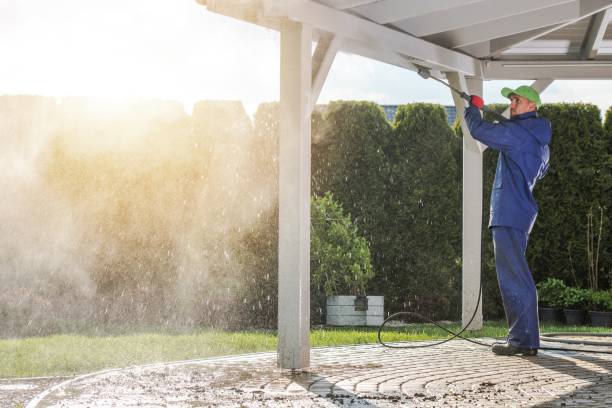 Best Sidewalk and Walkway Cleaning  in Pomona, NJ